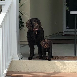 Meet your Posher, Jerome